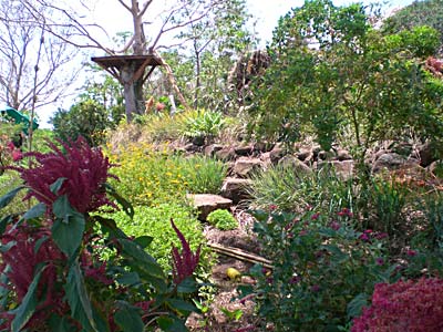 Finca Bona Fide Treehouse