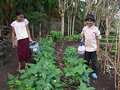 Children's Nutritional Program Gardeners